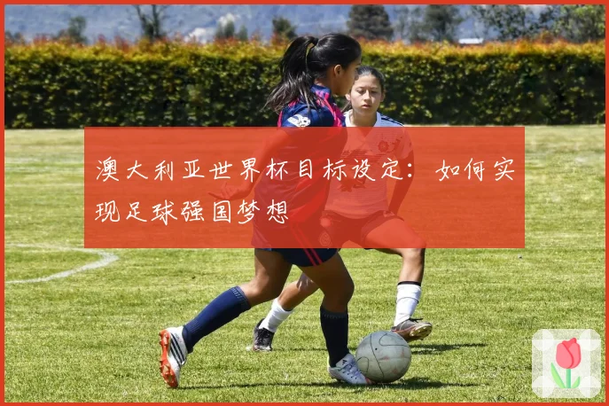 澳大利亚世界杯目标设定：如何实现足球强国梦想