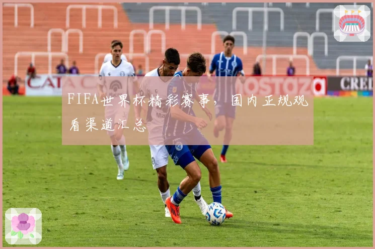 FIFA世界杯精彩赛事，国内正规观看渠道汇总